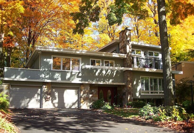 هتل Forest Hill Bed And Breakfast