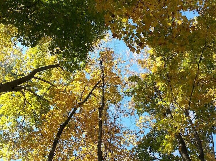 酒店 Golden Pathways Retreat And B&b