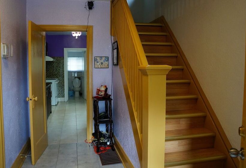 هتل Kensington Market Hostel
