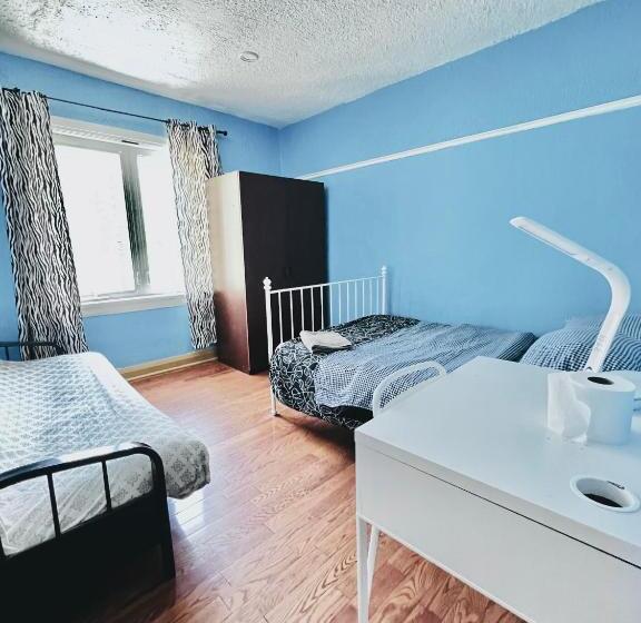 هتل Kensington Market Hostel