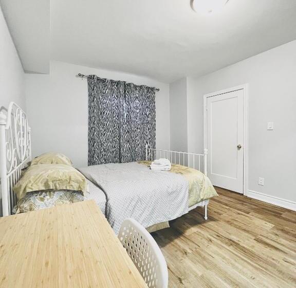 هتل Kensington Market Hostel