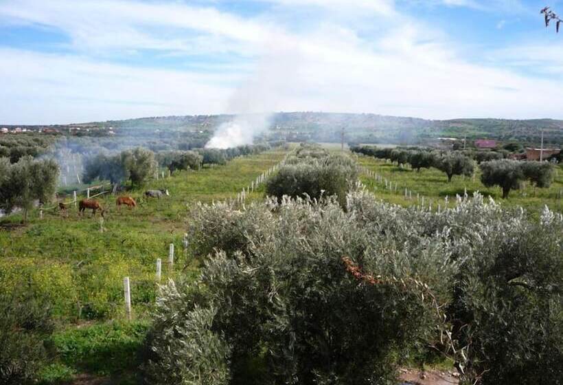 هتل Ryad Des Vignes