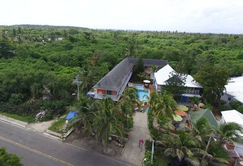 Fotos del hotel Sunset:  39