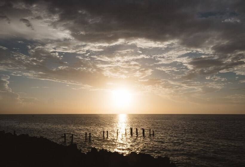 Fotos del hotel Sunset:  6