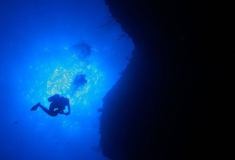 Fotos del hotel Sunset:  41