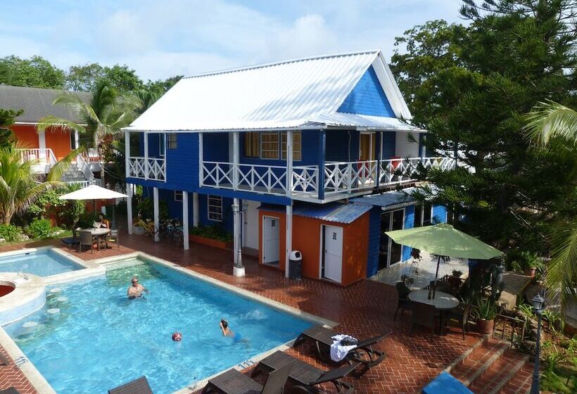 Fotos del hotel Sunset:  40