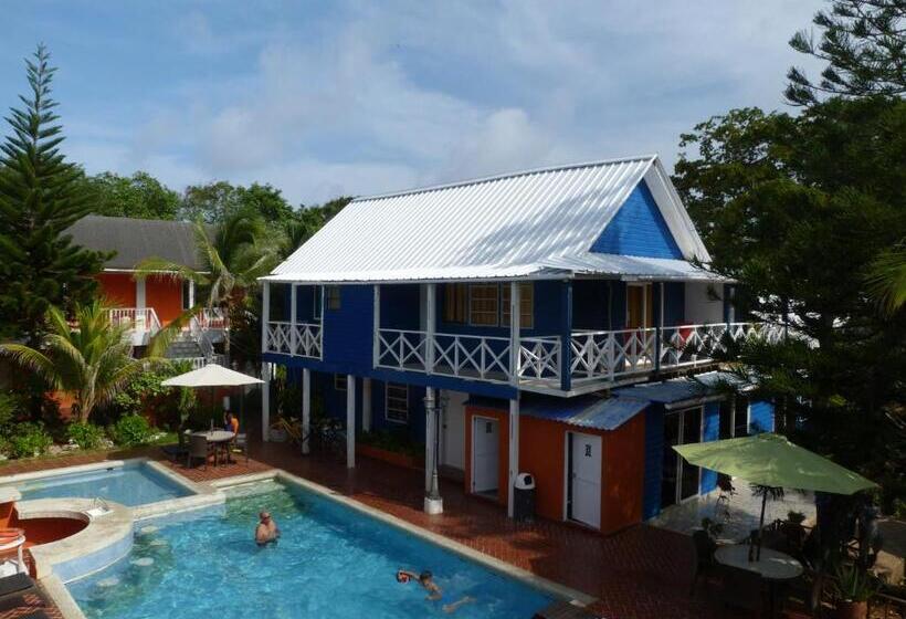 Fotos del hotel Sunset:  29