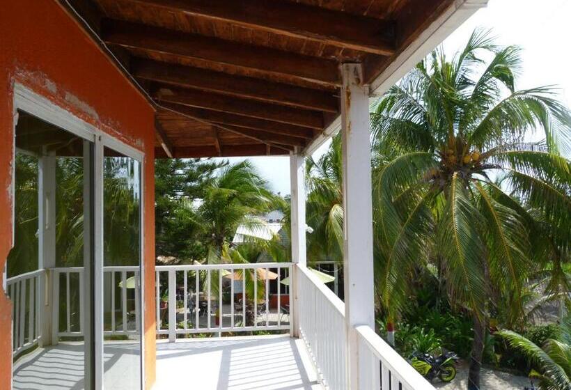 Fotos del hotel Sunset:  28