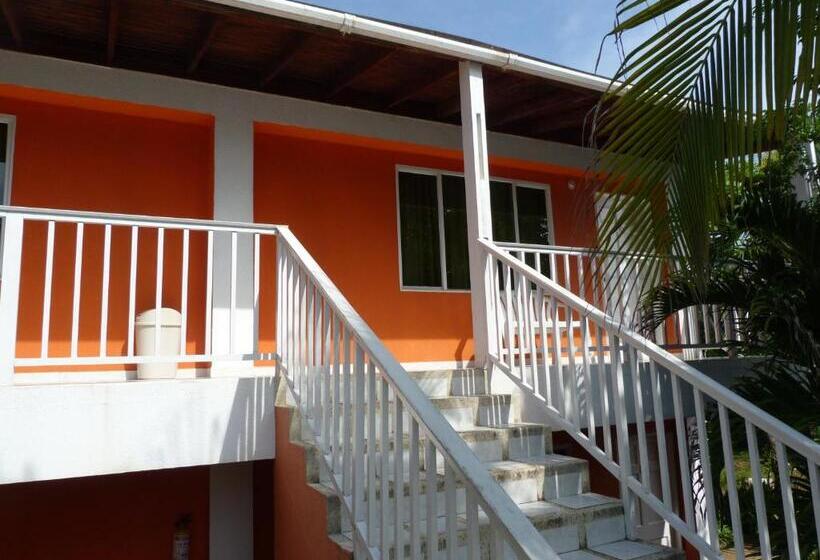 Fotos del hotel Sunset:  26