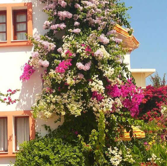 هتل Villa Elizea