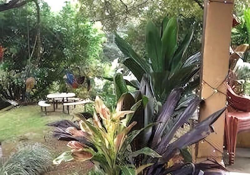 تختخواب و صبحانه Aparthotel Villa Pacande & Suites