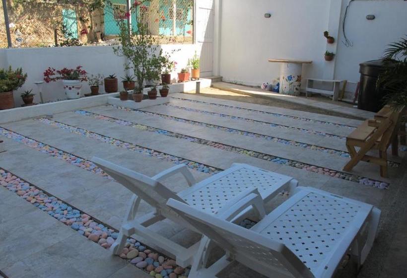 هاستل Casa Luna