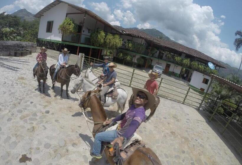 هاستل Golden Frog Manizales