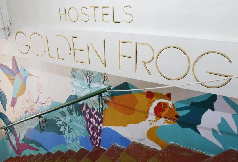 هاستل Golden Frog Manizales