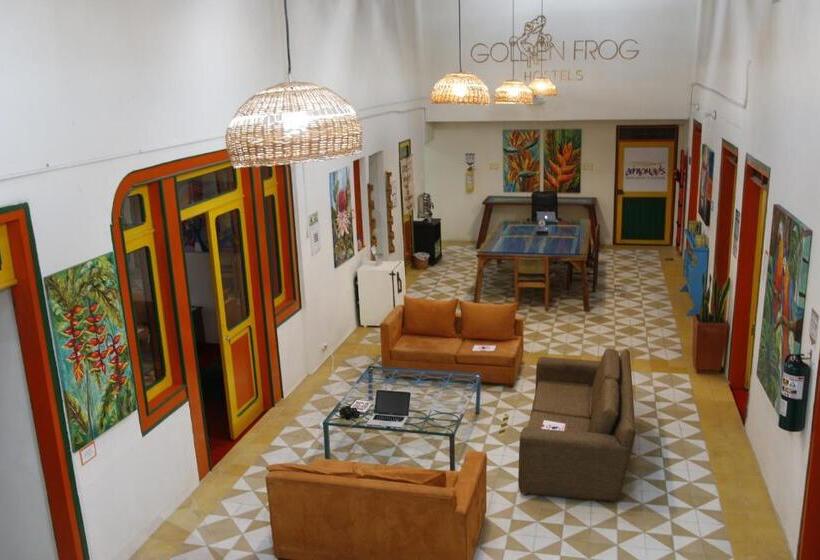 هاستل Golden Frog Manizales