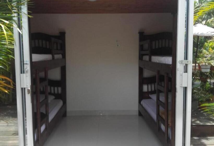 هاستل Hostal Hilltop Salento