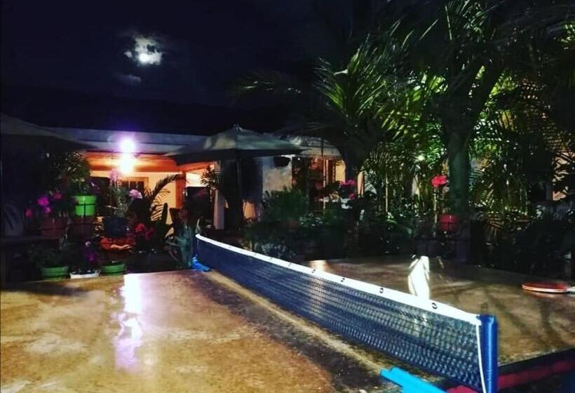هاستل Hostal Hilltop Salento