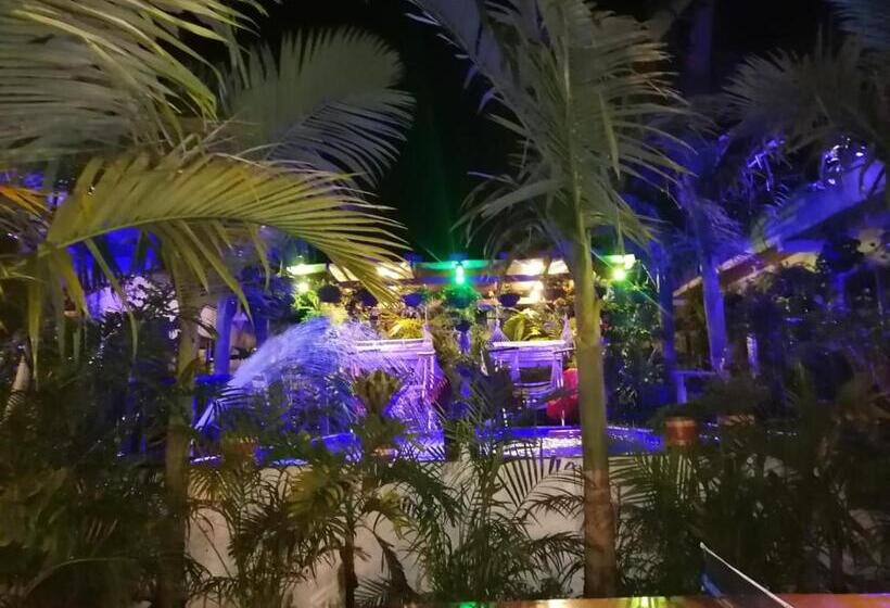 هاستل Hostal Hilltop Salento