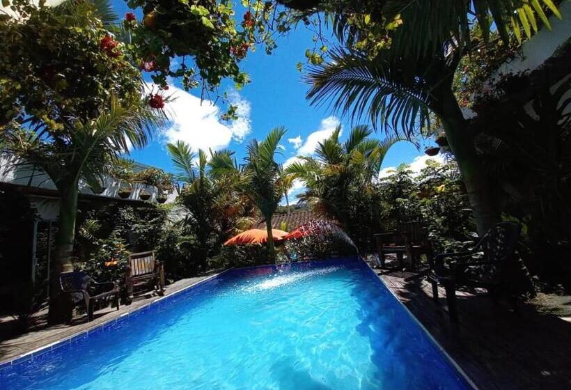هاستل Hostal Hilltop Salento
