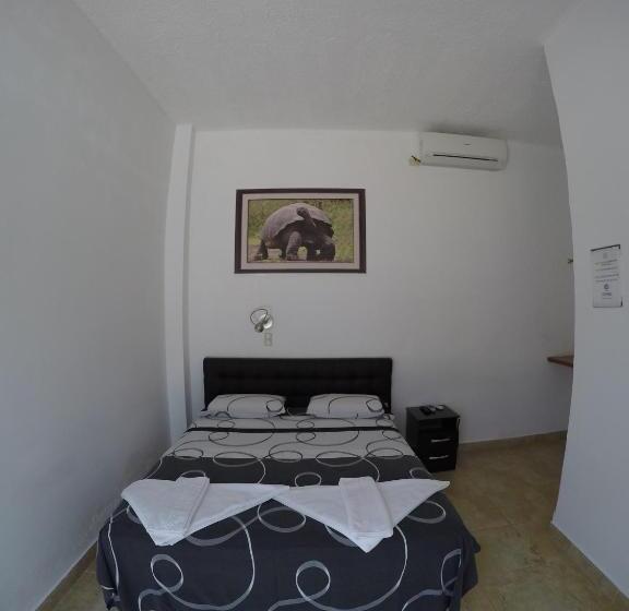 هاستل Stefany's Lodging