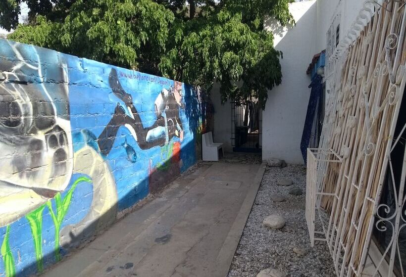 هاستل Taganga Paradise Hostal Diving