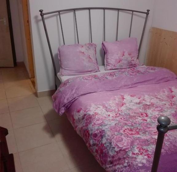 Alfredo Hostel