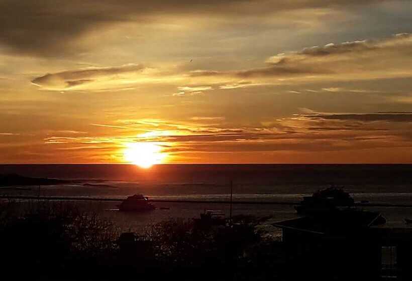 تختخواب و صبحانه Galapagos Casa Playa Mann