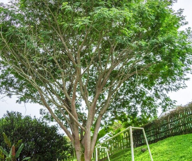 هتل Hostal San Jorge