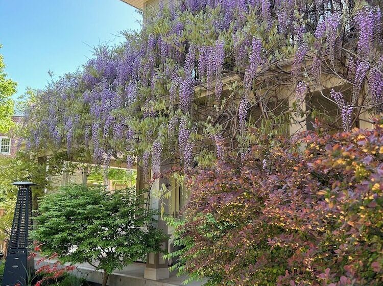 فندق Norfolk Guest House Inn