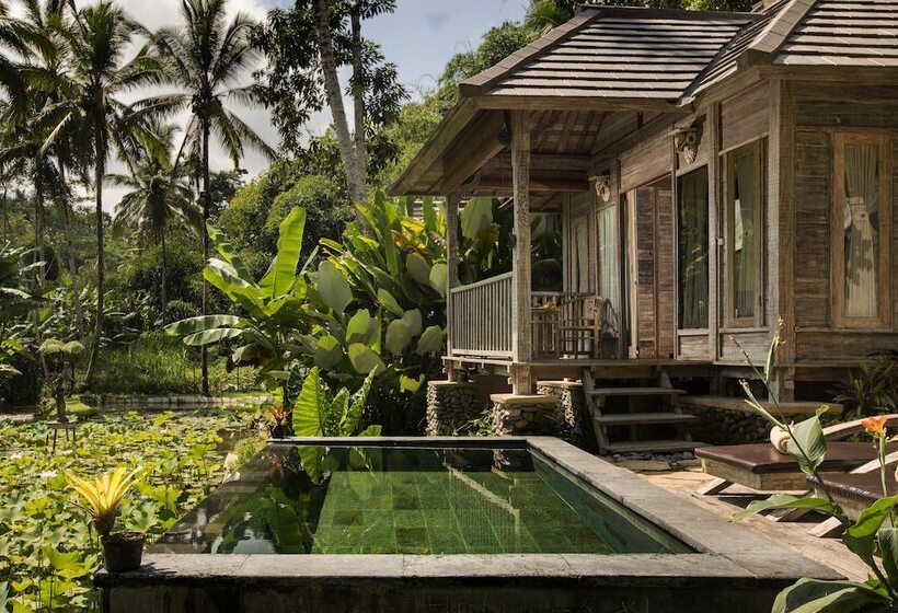 Fotos del hotel Pondok Sebatu Villa:  24