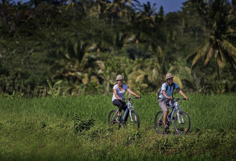 Fotos del hotel Pondok Sebatu Villa:  21