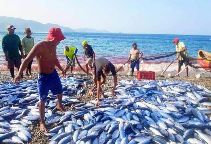 هتل Taganga Dive Inn