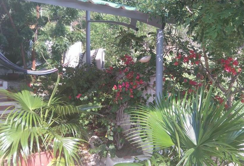 هتل Casa Oasis