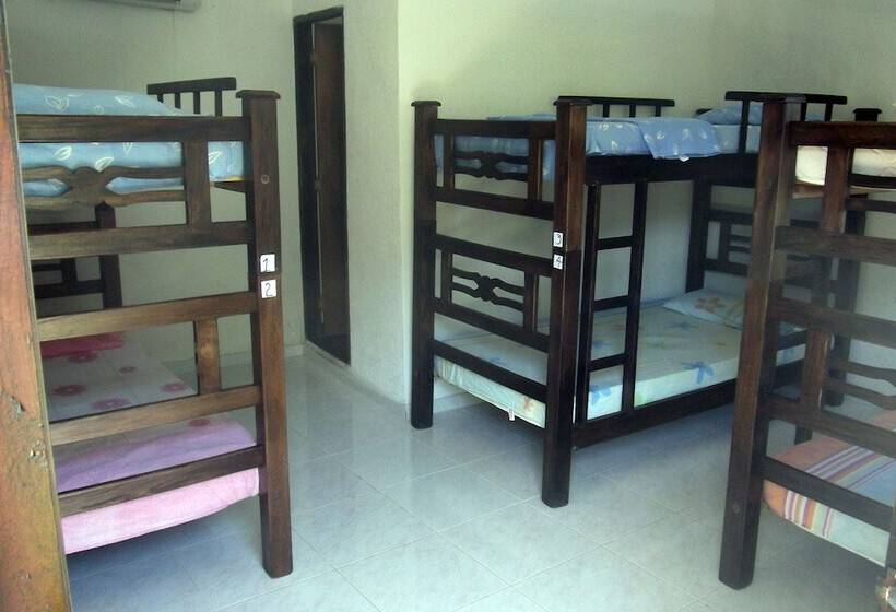هاستل La Masia Hostal