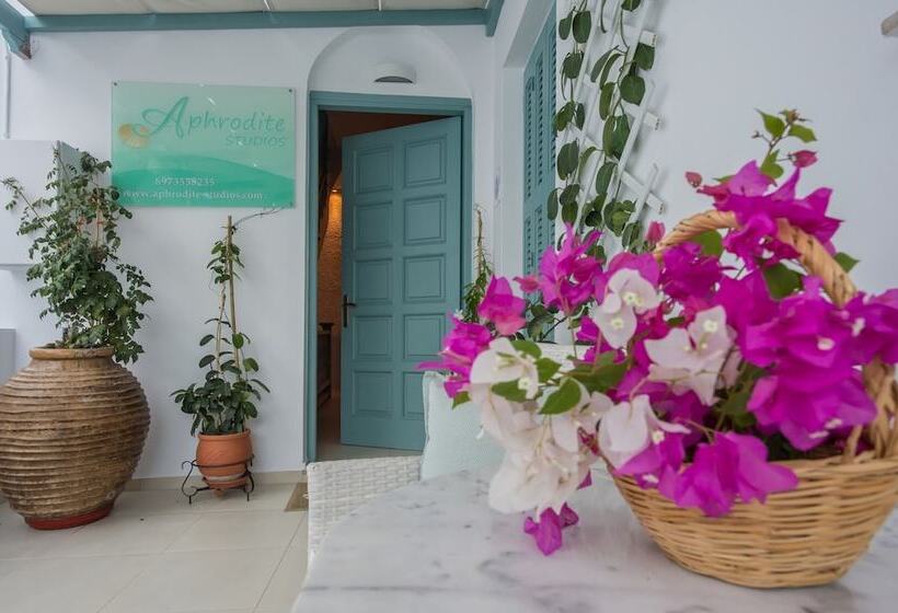 Aphrodite Studios