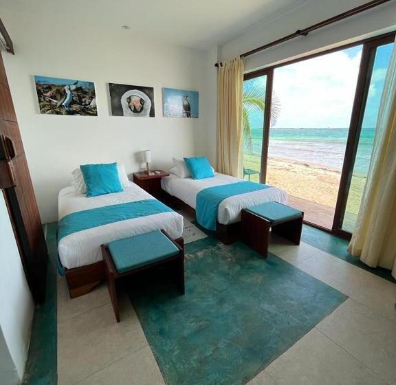 تختخواب و صبحانه Cormorant Beach House