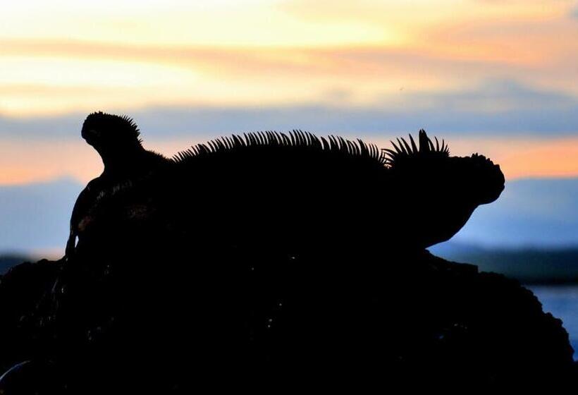 تختخواب و صبحانه Cormorant Beach House