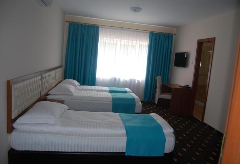 Hostel Paltinis