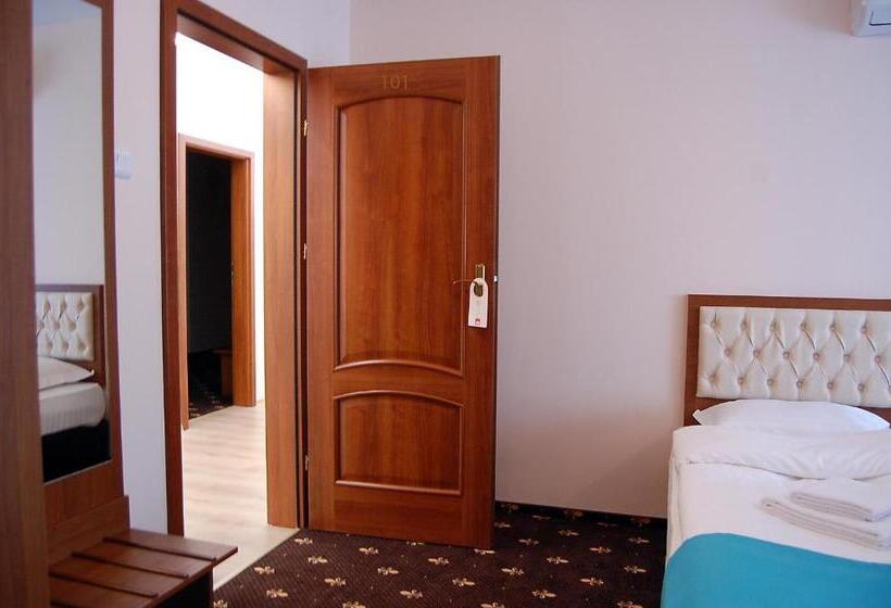 Hostel Paltinis