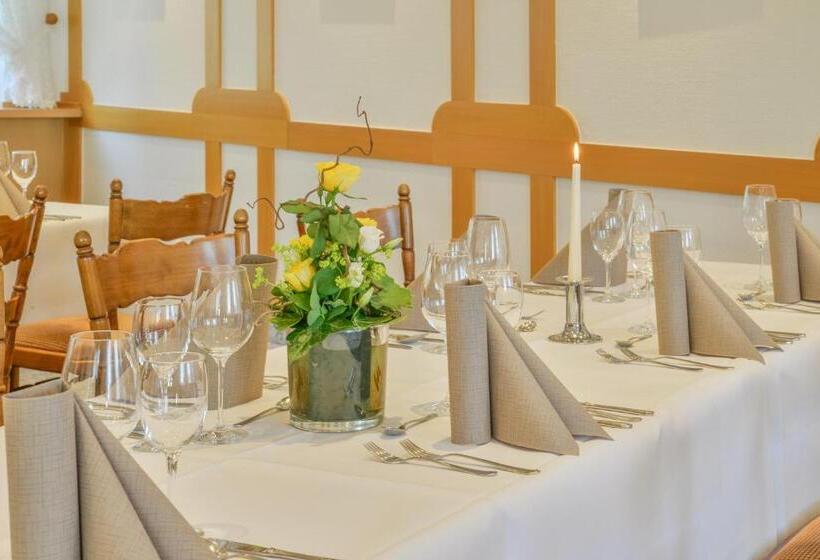 酒店 Bei Meier`s Zum Weißen Roß