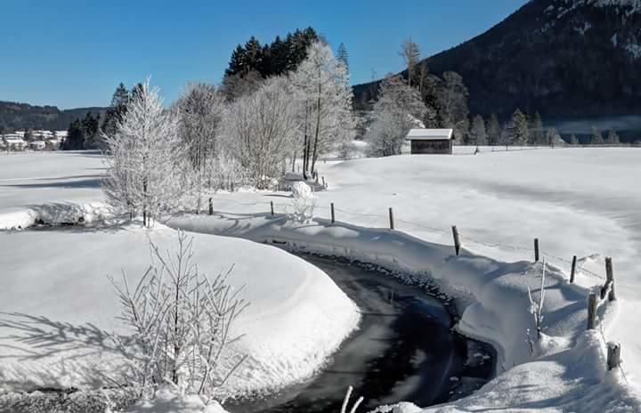 호텔 Garni Haus Bavaria
