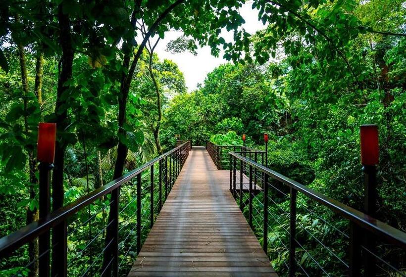 هتل Nayara Gardens