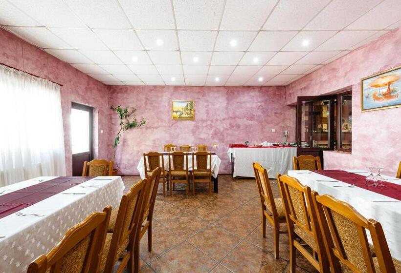هتل Pensiunea Casa Zanelor