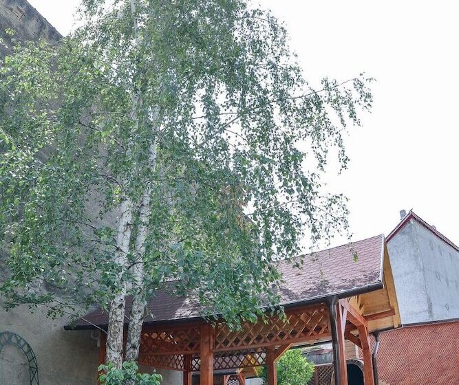 هتل Pensiunea Kronstadt