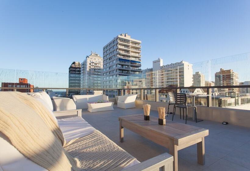 20 Hotel