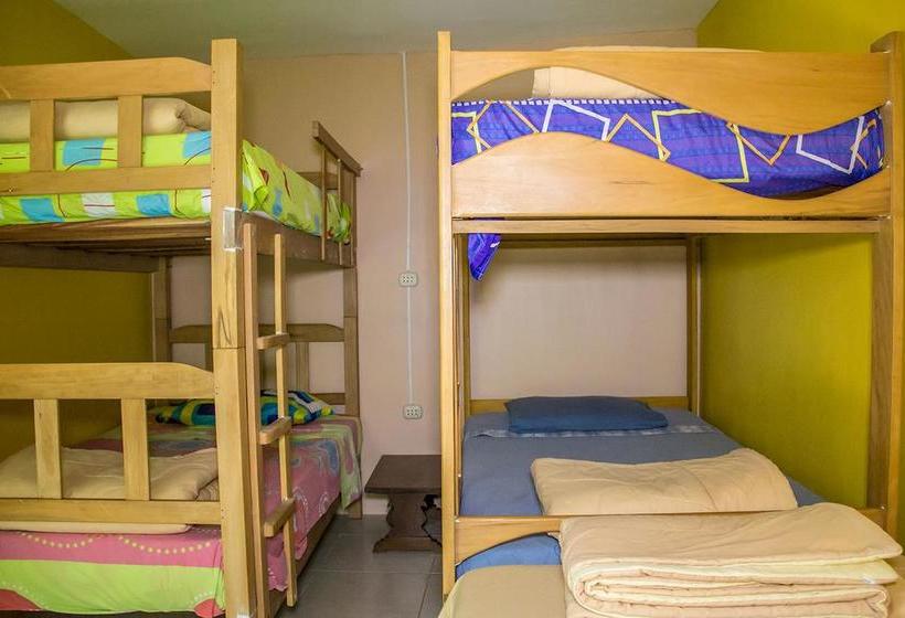 هاستل Atenas Backpacker Hospedaje