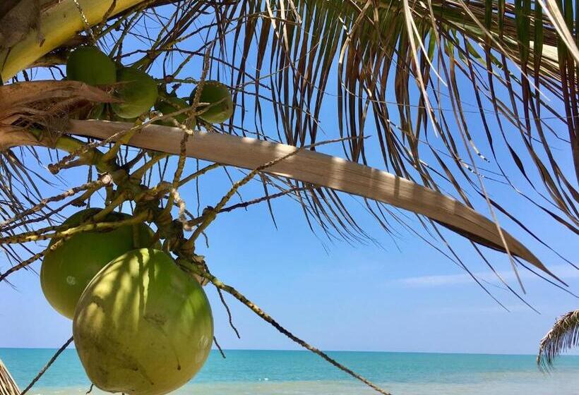 ホテル Casa Playa Zorritos