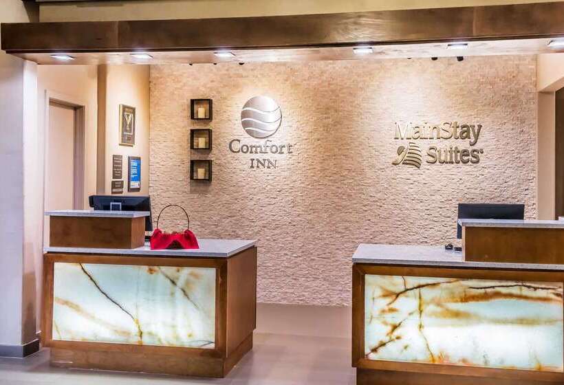 בית מלון כפרי Mainstay Suites Edinburg