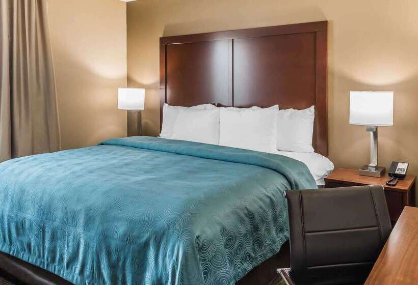 בית מלון כפרי Mainstay Suites Edinburg