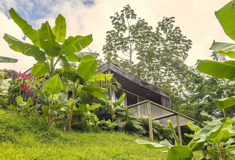 Sweet Harmony Hotel Boutique By Xarm Hotels